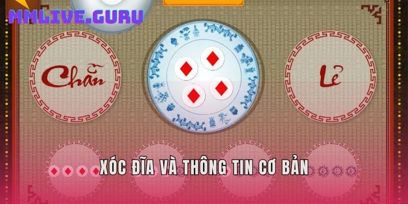 Xóc đĩa và thông tin cơ bản