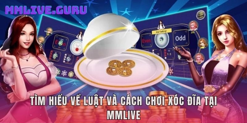 Tìm hiểu về luật và cách chơi xóc đĩa tại MMLive