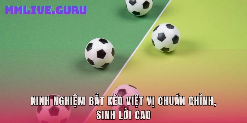 Kinh nghiệm bắt kèo việt vị chuẩn chỉnh, sinh lời cao