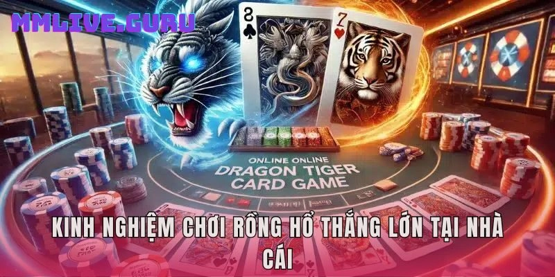 Kinh nghiệm chơi Rồng Hổ thắng lớn tại nhà cái