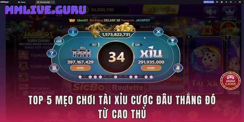 Top 5 mẹo chơi tài xỉu cược đâu thắng đó từ cao thủ