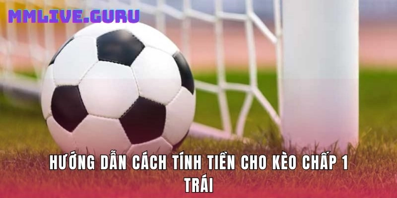 Hướng dẫn cách tính tiền cho kèo chấp 1 trái