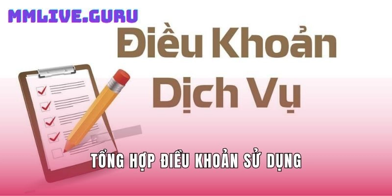 Tổng hợp điều khoản sử dụng