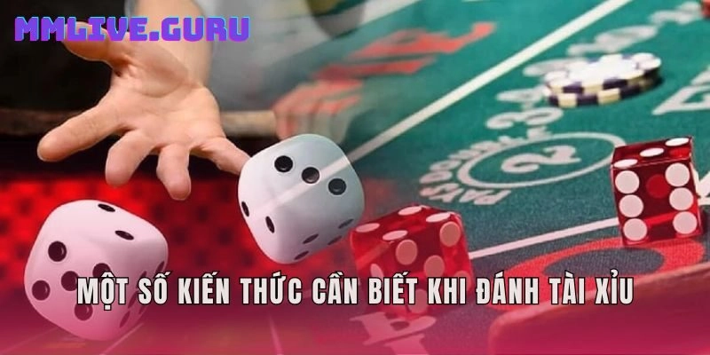 Một số kiến thức cần biết khi đánh tài xỉu